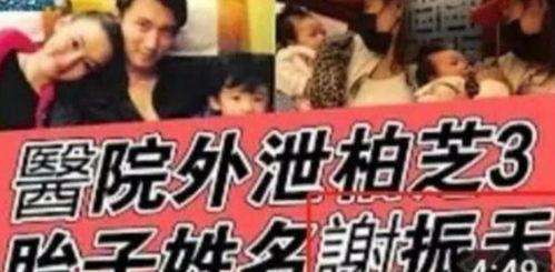 三胎吃瓜娱乐圈,明星家庭新篇章
