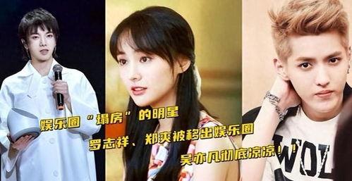 吃瓜直播娱乐圈官网,吃瓜直播官网带你畅游明星幕后生活