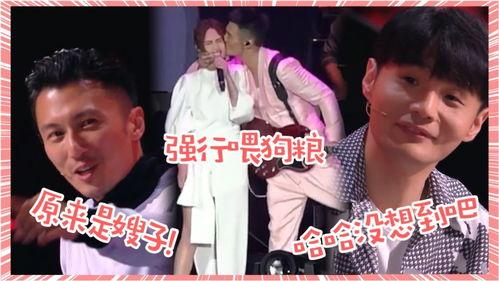 关于吃娱乐圈瓜的歌,跟随音乐节奏，揭秘明星幕后故事