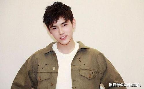陈飞宇 吃瓜娱乐圈视频,揭秘明星隐私与网络舆论的漩涡