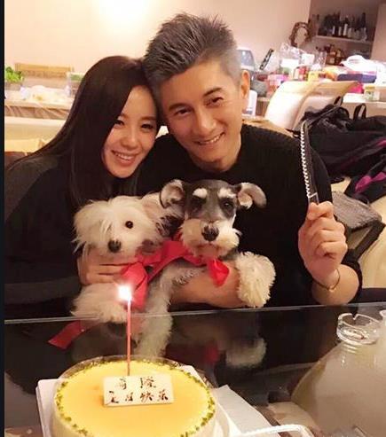 娱乐吃瓜婆媳羊了个羊,娱乐吃瓜圈再掀波澜