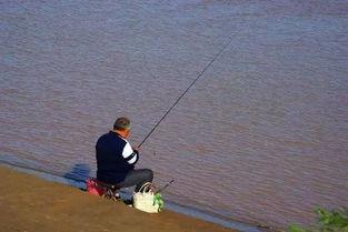 娱乐吃瓜钓鱼视频下载安装,娱乐吃瓜钓鱼视频，轻松安装体验新乐趣