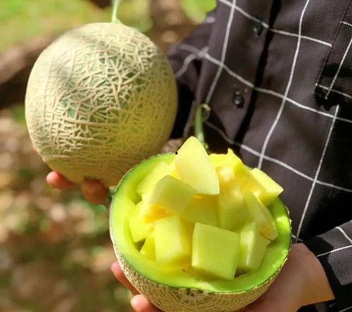 娱乐圈吃瓜壁纸高清全屏,高清全屏揭秘明星幕后故事