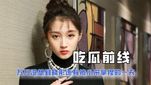 关于娱乐圈的吃瓜小说