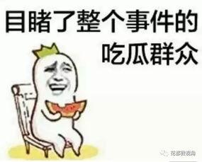 娱乐吃瓜酱九族严选,揭秘娱乐圈幕后真相