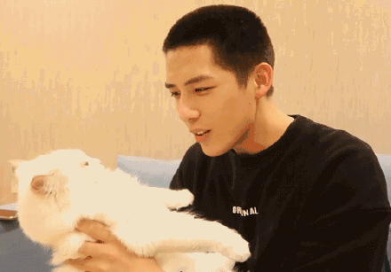 娱乐圈吃瓜王安宇