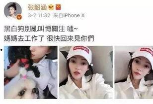 吃瓜开会说要娱乐圈,揭秘明星幕后故事